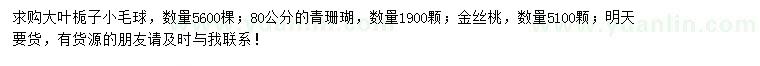 求购大叶栀子小毛球、青珊瑚、金丝桃