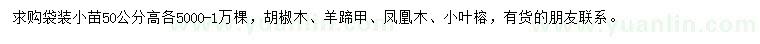 求购胡椒木、羊蹄甲、凤凰木等