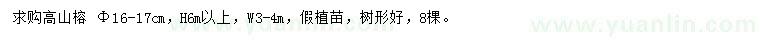 求购米径16-17公分高山榕