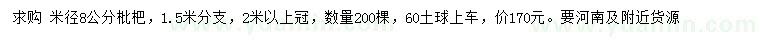 求购米径8公分枇杷树