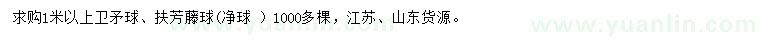 求购1米以上卫矛球、扶芳藤球