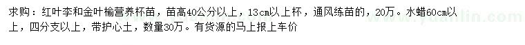 求购红叶李、金叶榆、水蜡