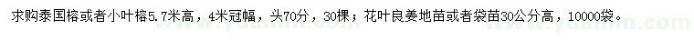 求购泰国榕、小叶榕、花叶良姜