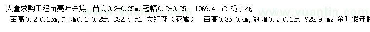 求购亮叶朱焦、栀子花、大红花等