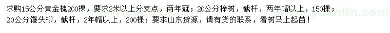 求购黄金槐、榉树、馒头柳