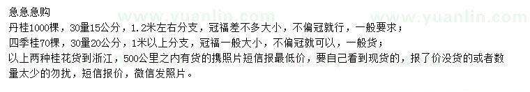 求购30量15公分丹桂、20公分四季桂