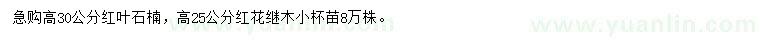 求购高30公分红叶石楠、高25公分红花继木