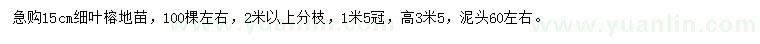 求购15公分细叶榕地苗