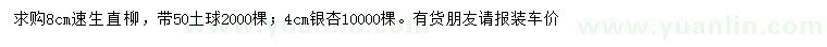 求购8公分速生直柳、4公分银杏