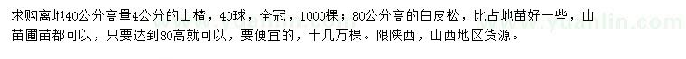 求购40公分量4公分山楂、高80公分白皮松