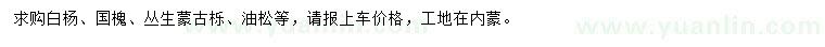 求购白杨、国槐、丛生蒙古栎等