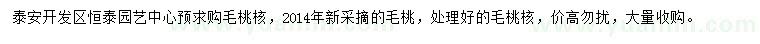 求购2014年毛桃核、新鲜桃树种子、各种桃核