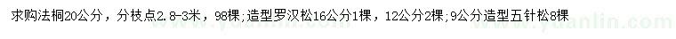 求购法桐、造型罗汉松、造型五针松