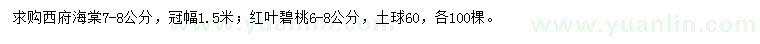 求购西府海棠、红叶碧桃