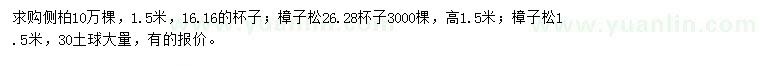 求购1.5米侧柏、樟子松