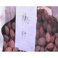 批发果树种子，桃，梨，核桃，山桃核种子，山核桃，桃核等