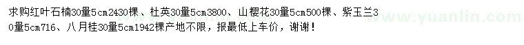 求购红叶石楠、杜英、山樱花等