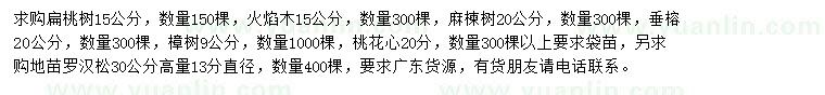 求购扁桃树、火焰木、麻楝树等