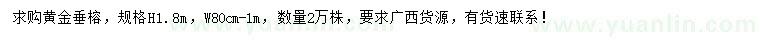 求购高1.8米黄金垂榕