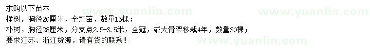 求购胸径20公分榉树、胸径28公分朴树