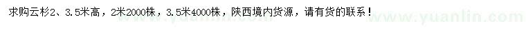 求购高2、3.5米云杉