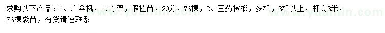 求购20公分广伞枫、杆高3米三药槟榔