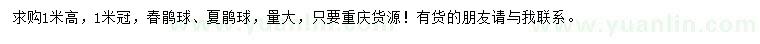 求购冠1米春鹃球、夏鹃球