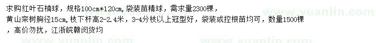 求购100*120公分红叶石楠球、胸径15公分黄山栾树