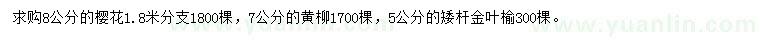 求购樱花、黄柳、金叶榆