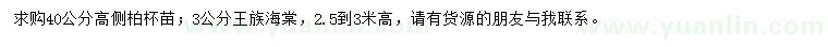 求购40公分高侧柏、3公分王族海棠