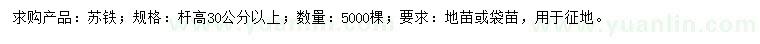 求购杆高30公分以上苏铁