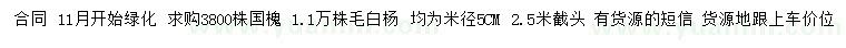 求购5公分国槐、毛白杨