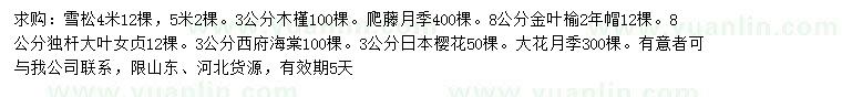 求购雪松、木槿、爬藤月季等