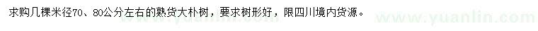求购米径70、80公分朴树