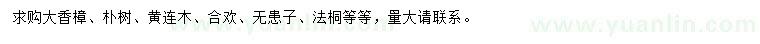 求购大香樟、朴树、黄连木等