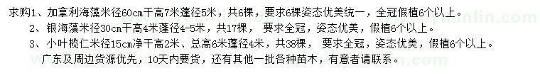 求购加拿利海藻、银海藻、小叶榄仁