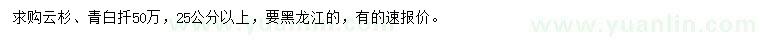 求购25公分以上云杉、青白扦