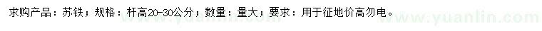 求购杆高20-30公分苏铁