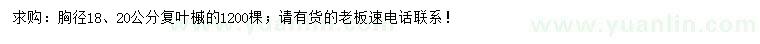 求购胸径18、20公分复叶槭