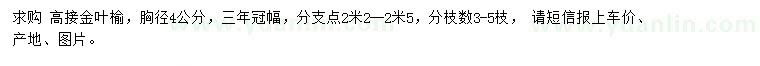 求购胸径4公分高接金叶榆