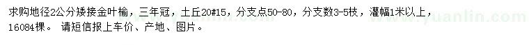 求购地径2公分矮接金叶榆