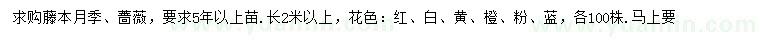 求购长2米以上藤本月季、蔷薇