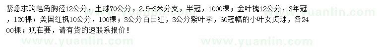 求购皂角、金叶槐、美国红枫等