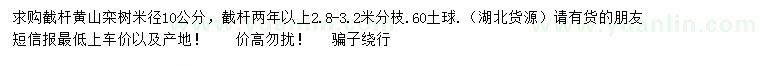 求购米径10公分黄山栾树