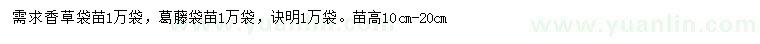 求购香草、葛藤苗、决明