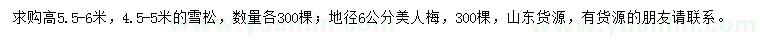 求购高5.5-6、4.5-5米雪松、地径6公分美人梅