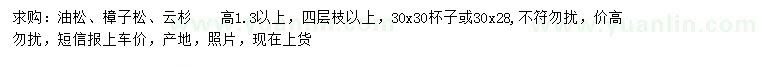 求购油松、樟子松、云杉