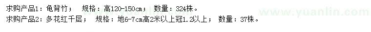 求购高120-150公分龟背竹、地径6-7公分多花红千层