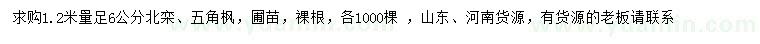 求购1.2米量足6公分北栾、五角枫