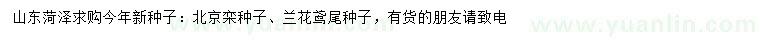 求购北京栾种子、兰花鸢尾种子 